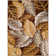 Phillips Floral Indoor Rug