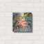 «Sweet Mexico» par St. Hilaire Elizabeth-699952614