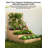 3-Tier Wooden Raised Garden Bed with Trellis – Vertical Planter Box for Climbing Plants, Vegetables, Herbs, Flowers – Open Base for Drainage – Outdoor Use