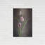 «Tulipes du printemps» par Debra Van S-101670021