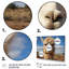 «Alpaca Vibrant Portrait I», reproduction sur toile-1160412310-1160412318