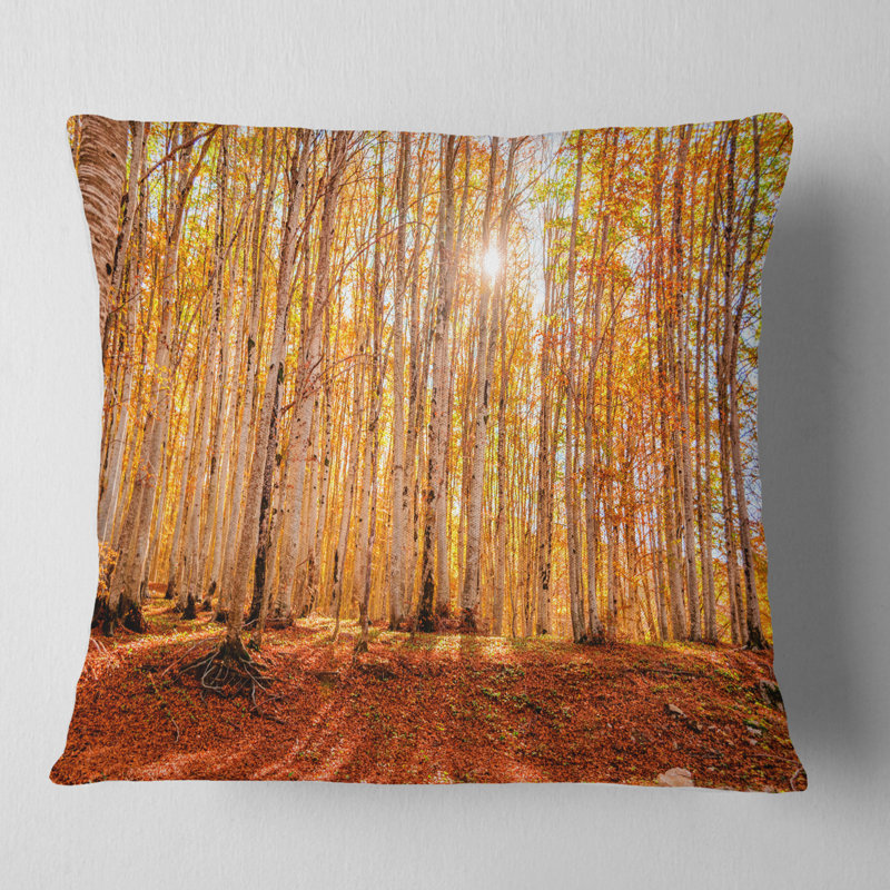 Coussin décoratif coloré forêt rouge au coucher du soleil - imprimé forêt, 16 po x 16 po, Carré