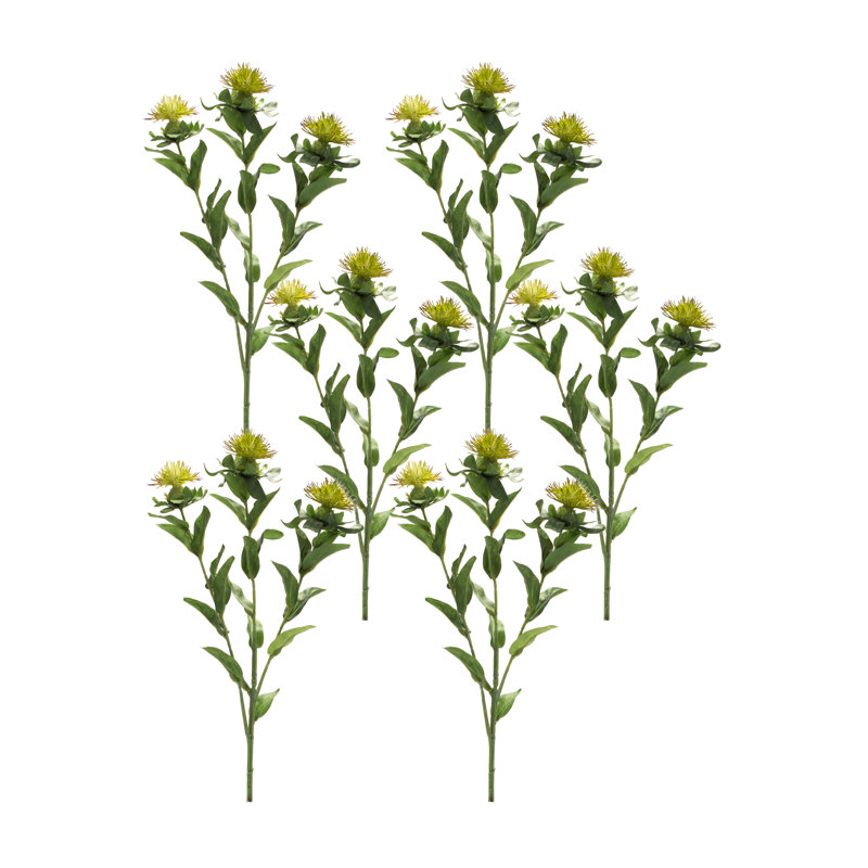 Thistle Steam