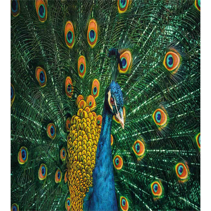 Eclectic Polyester Duvet Cover, Queen Duvet Cover + 2 Standard Shams, Peacock
