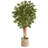 72'' Faux Maple Tree in Burlap, Cotton Planter