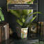 Diandrea Handmade Ceramic Pot Planter-784894472