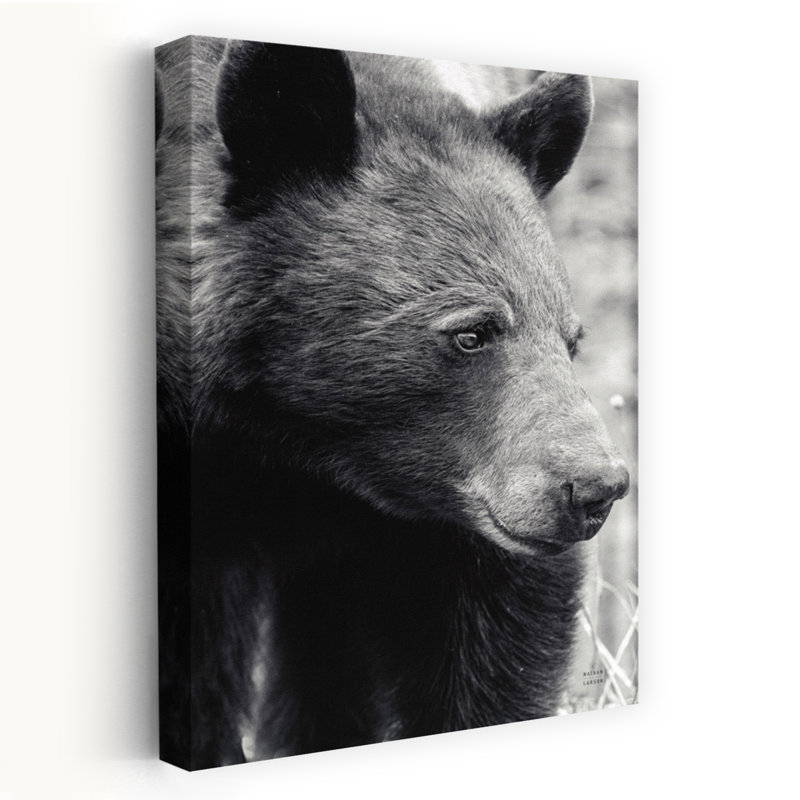Art contemporain Portrait d'ours contemporain, H 48 po x l 32 po