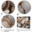 «Beach Photo Seashell Symphony IX - Nautique et plage, reproduction d'art sur toile-464571563-464571560