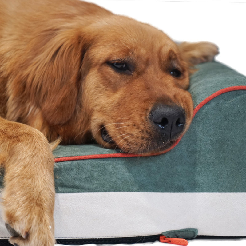 Traversin géant pour chien, L 46 po x P 28 po x H 8 po, Vert