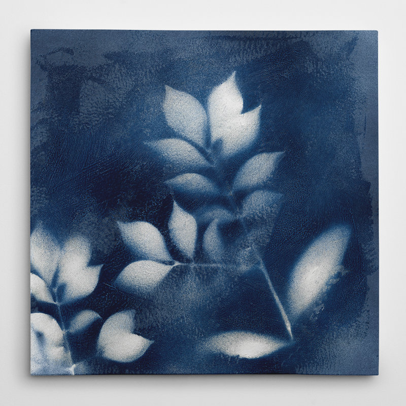 « nature indigo iii », impression sur toile, H 24 po x l 24 po x P 1,5 po