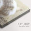 Calmer Shell I -Galerie enveloppée Cavas-162391833