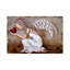 Beauty Shines Brighter - Painting Print on Canvas-1134878045-1134878055