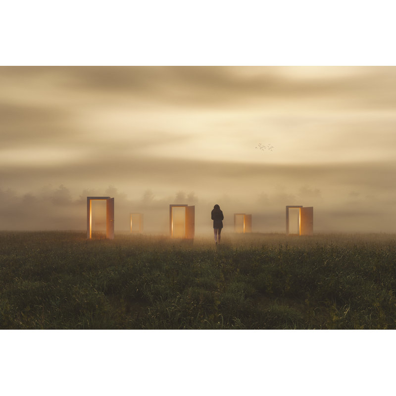 Surreal Abstract Doors by Gremlin, 8" H x 12" W