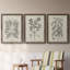 Antique Black and White Botanical VII - Ensemble de 3 reproductions d'art sur toile-282180057-282180058