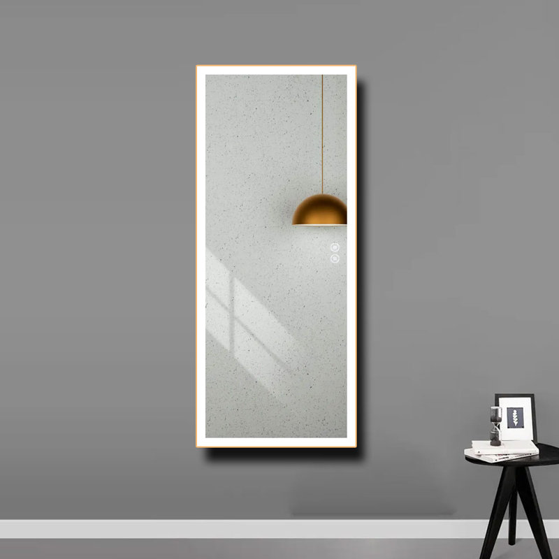 Carlet Rectangle Metal Wall Mirror, 28 po x 70 po