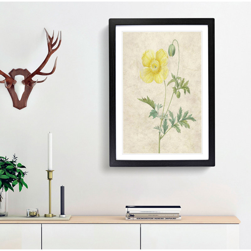 Welse Poppy in Yellow by Pierre-Joseph Redoute - Picture Frame Painting Print, 36cm H x 27cm W x 2cm D, Black Framed
