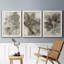 Birch Leaves I, reproduction d'art sur toile-1078033296-1078033302