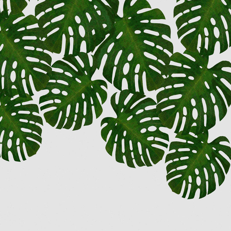 «Monstera Leaf IV», impression sur toile tendue, H 12 po x l 12 po