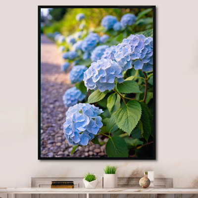 Blue Blooms Of Hydrangea - Floral Wall Art