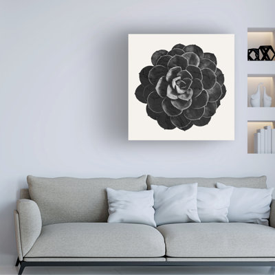 Art sur toile «ologia bolognaise Amini54 »