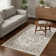 Losh Oriental Performance Traditional Vintage Area Rug in Brown/Beige/Cream