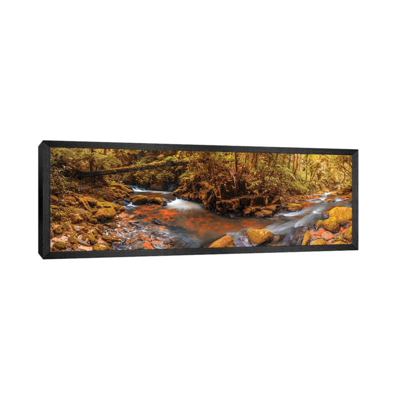 Jungle Panorama II 1 Piece Wall Art on Canvas, 152.4 cm H x 50.8 cm W, Black Floater Frame