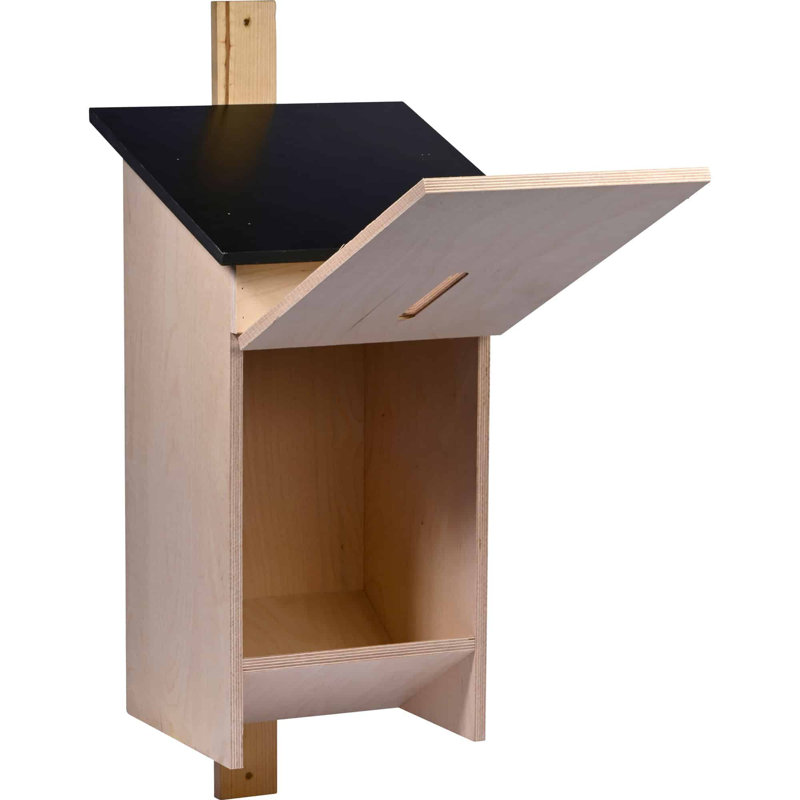 Mikes Mounted Bird House
