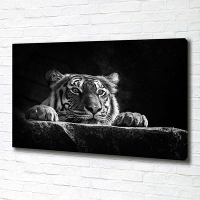 Tiger 1 Piece Wall Art on Canvas
