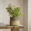 Grand vase cylindrique d'intérieur et d'extérieur en ciment brun 8,9 pouces Icaria