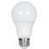 60 Watt Equivalent A19 E26/Medium (Standard) LED Bulb