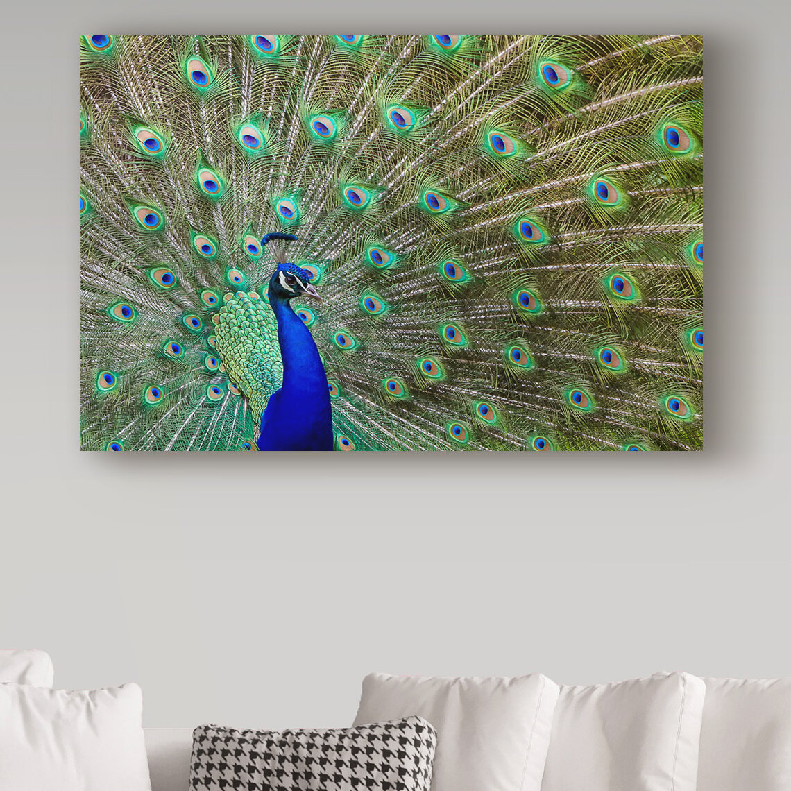 Peacock Feather | Large Solid-Faced Canvas Wall Art Print | Great Big Canvas