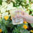 Shaner 13.5oz. Handmade Drinking Glass