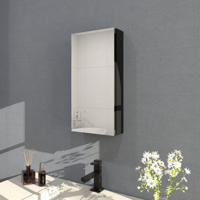 Flicker 12 in. W x 24 in. H Medicine Cabinet Mirror in Matte Black