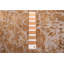Tapis gris Legacy 8 pi 1 po x 8 pi 0 po Legacy