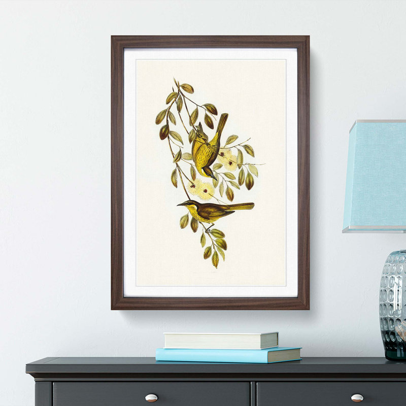 Varied Honeyeater Birds by Elizabeth Gould - Picture Frame Painting Print, 27cm H x 36cm W x 2cm D, Walnut Framed