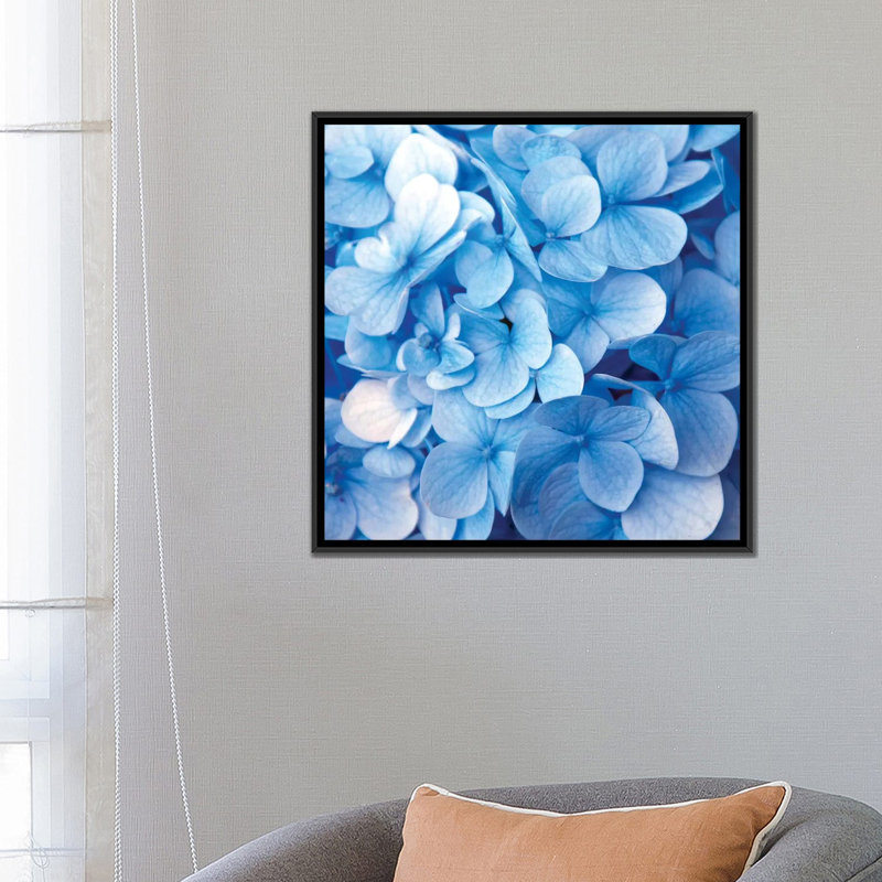 « blue florals », reproduction d’impression sur toile, H 18 po x l 18 po x P 1,5 po, Toile avec cadre noir, Pas de tapis