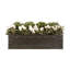 Cragmont Handmade Planter-31274894