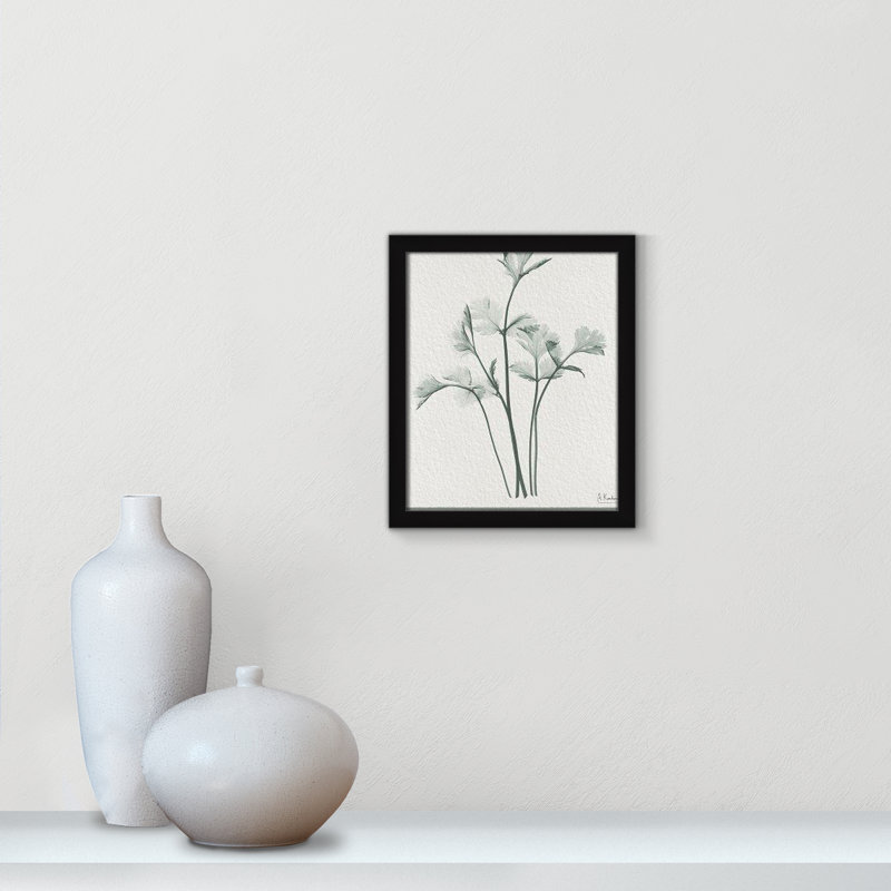 Jeanette Parsley II Framed On Paper by Albert Koetsier Print, Satin Black Framed Paper, 15" H x 13" W x 1.25" D