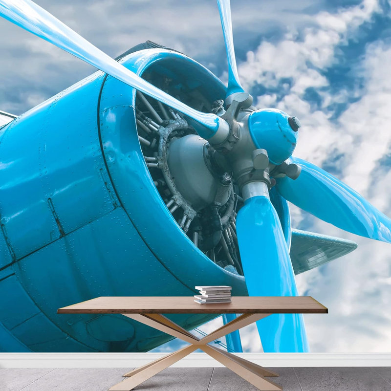 Bleu, rétro, avion antique, hélice, avion, avion, photographie de véhicule, papier peint, L 66 po x l 96 po