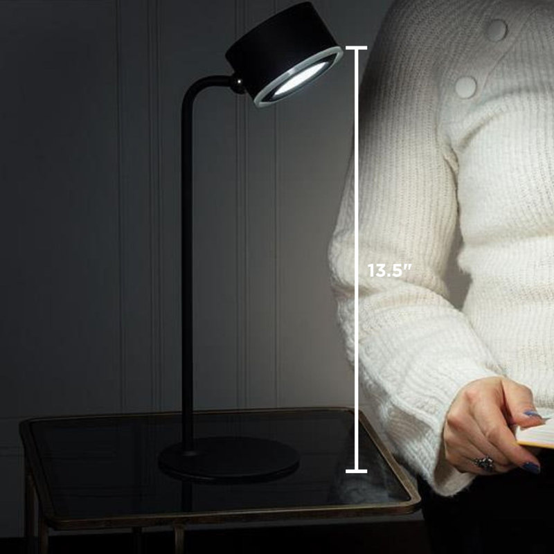 Lampe DEL à aimant tambour 4 pièces avec base magnétique Abbott, Noir mat