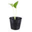 Pot de chambre en plastique Kyas