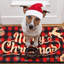 Tapis de Noël pour l'extérieur Merry Christmas Paillasson décoratif antidérapant Buffalo