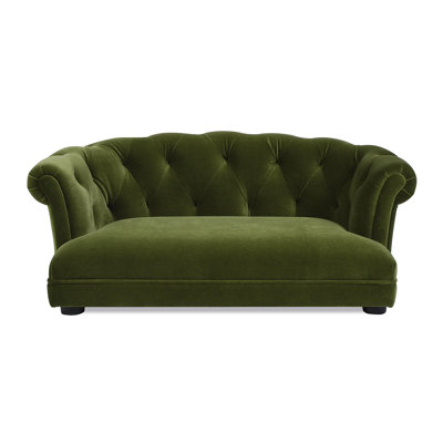 Canapé-lit pour chien 36,5 po Chesterfield