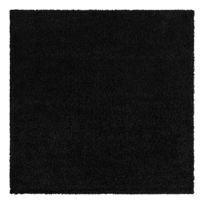 Santoshi Performance Indoor Rug