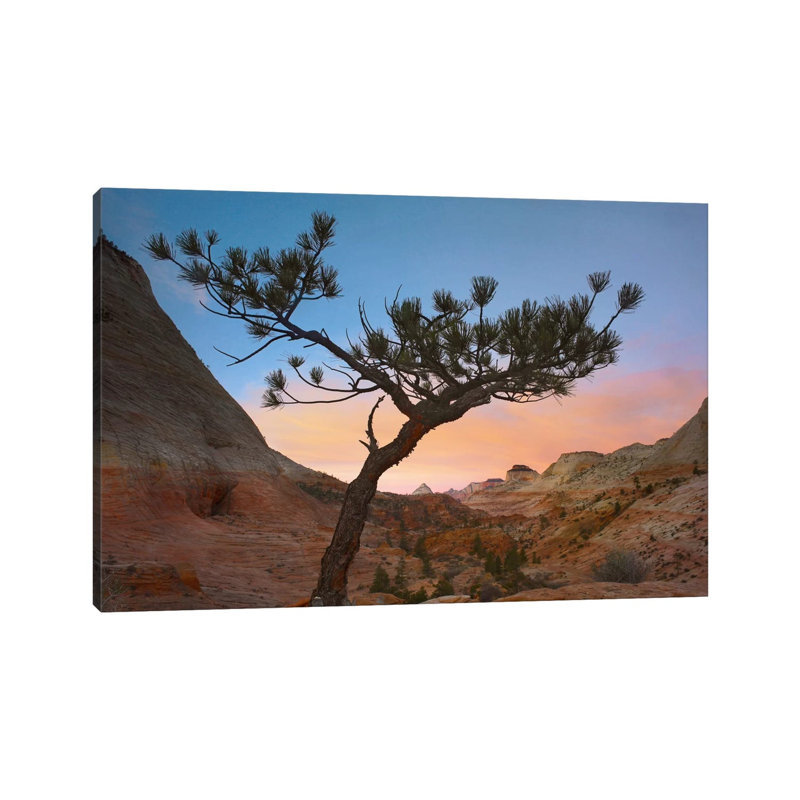 Lone Pine Tree with East and West Temples in the Background 1 Piece Wrapped Canvas Wall Art