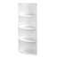 Nejka 129.5cm H x 30cm W Corner Bookcase