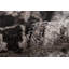 Tapis d'intérieur traditionnel Honig-27504683