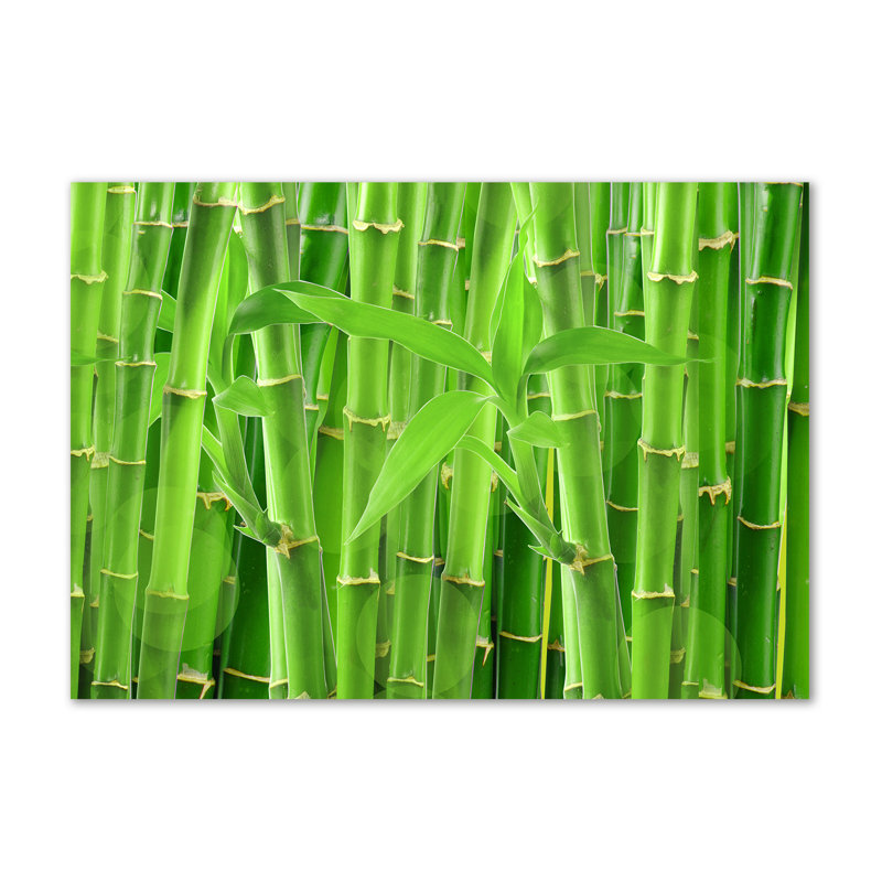 Bamboos - Wrapped Canvas Print