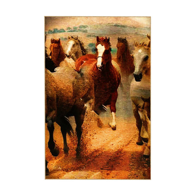 Machine Washable Animal Collection Brown Toned Horse Patterned Woven Base Rug