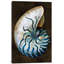«Ocean Treasure IV», impression sur toile-73439665-73439666-73439667